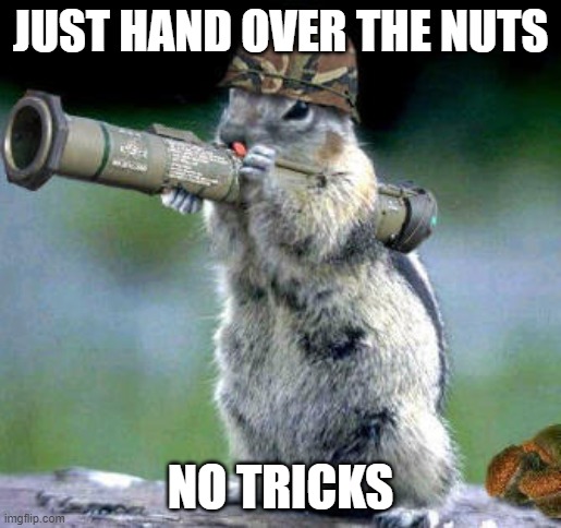 Bazooka Squirrel Meme | JUST HAND OVER THE NUTS; NO TRICKS | image tagged in memes,bazooka squirrel | made w/ Imgflip meme maker