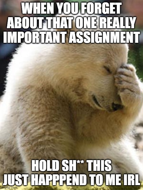 Facepalm Bear | WHEN YOU FORGET ABOUT THAT ONE REALLY IMPORTANT ASSIGNMENT; HOLD SH** THIS JUST HAPPPEND TO ME IRL | image tagged in memes,facepalm bear | made w/ Imgflip meme maker