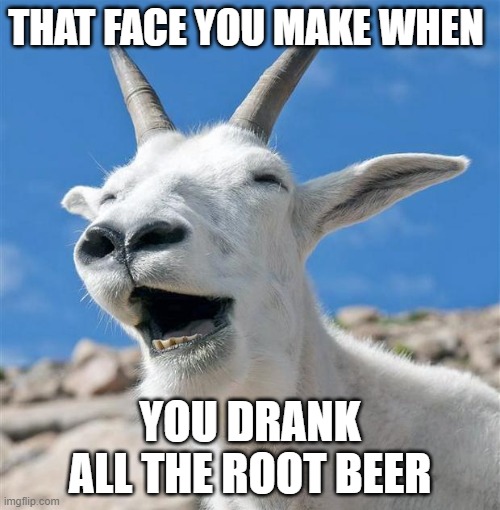 Laughing Goat | THAT FACE YOU MAKE WHEN; YOU DRANK ALL THE ROOT BEER | image tagged in memes,laughing goat | made w/ Imgflip meme maker