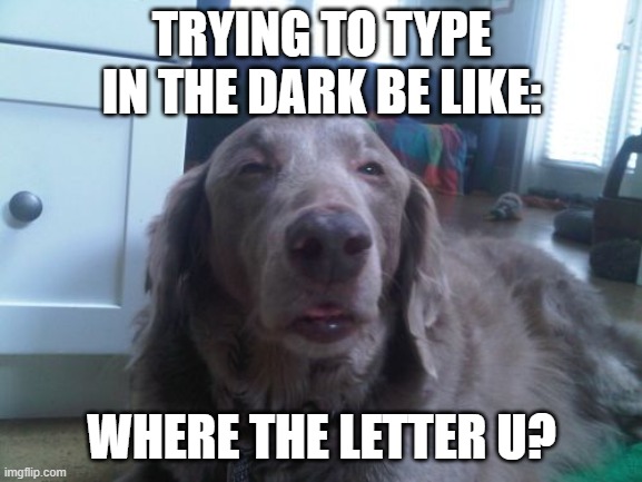 High Dog | TRYING TO TYPE IN THE DARK BE LIKE:; WHERE THE LETTER U? | image tagged in memes,high dog | made w/ Imgflip meme maker