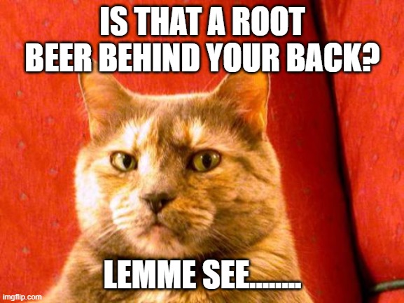 Suspicious Cat |  IS THAT A ROOT BEER BEHIND YOUR BACK? LEMME SEE........ | image tagged in memes,suspicious cat | made w/ Imgflip meme maker