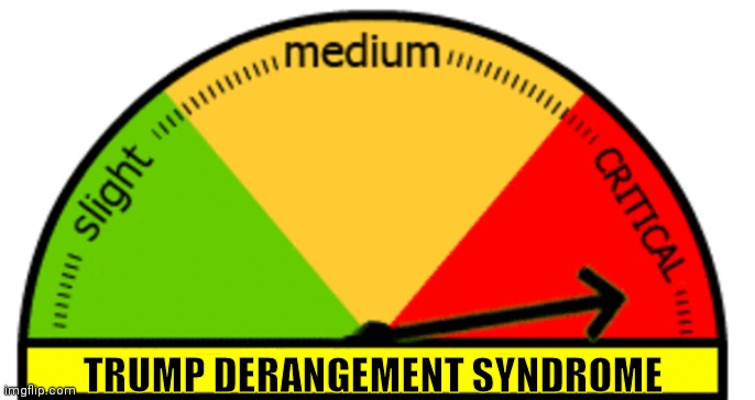 Generic Meter | TRUMP DERANGEMENT SYNDROME | image tagged in generic meter | made w/ Imgflip meme maker