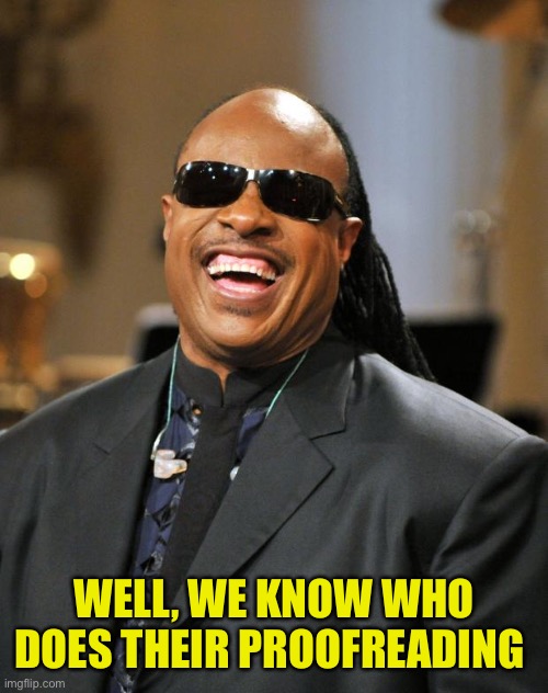 Stevie Wonder | WELL, WE KNOW WHO DOES THEIR PROOFREADING | image tagged in stevie wonder | made w/ Imgflip meme maker