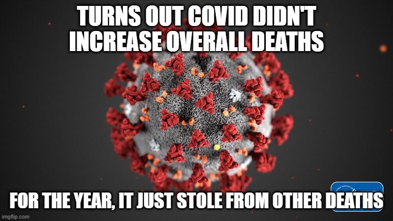 Overall deaths remained the same | TURNS OUT COVID DIDN'T INCREASE OVERALL DEATHS; FOR THE YEAR, IT JUST STOLE FROM OTHER DEATHS | image tagged in covid 19 | made w/ Imgflip meme maker