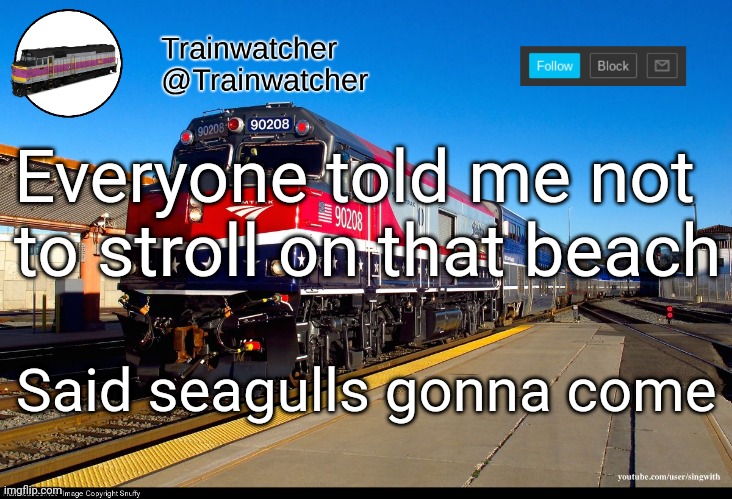 Trainwatcher Announcement 4 | Everyone told me not to stroll on that beach; Said seagulls gonna come | image tagged in trainwatcher announcement 4 | made w/ Imgflip meme maker