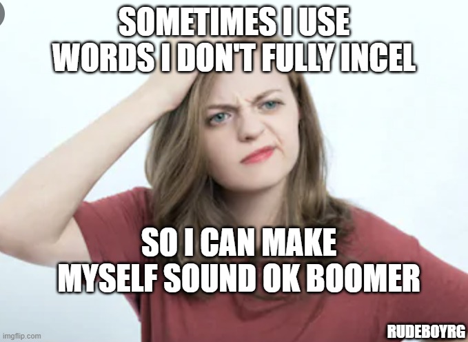 Sometimes I Use Words Ok Boomer Incel | SOMETIMES I USE WORDS I DON'T FULLY INCEL; SO I CAN MAKE MYSELF SOUND OK BOOMER; RUDEBOYRG | image tagged in ok boomer,incel,sometimes i use words | made w/ Imgflip meme maker