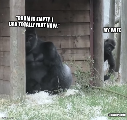 Sneaky Gorilla Kid | “ROOM IS EMPTY, I CAN TOTALLY FART NOW.”; MY WIFE; @BUZZCITYBAKER | image tagged in sneaky gorilla kid | made w/ Imgflip meme maker