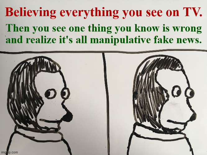 Believing everything you see... | Believing everything you see on TV. Then you see one thing you know is wrong 
 and realize it's all manipulative fake news. | image tagged in monkey puppet looking away drawing,meme parody,fake news,propaganda,getting woke,pull back the curtain | made w/ Imgflip meme maker