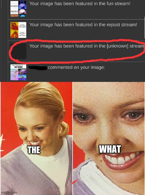 WHAT; THE | image tagged in wait what | made w/ Imgflip meme maker