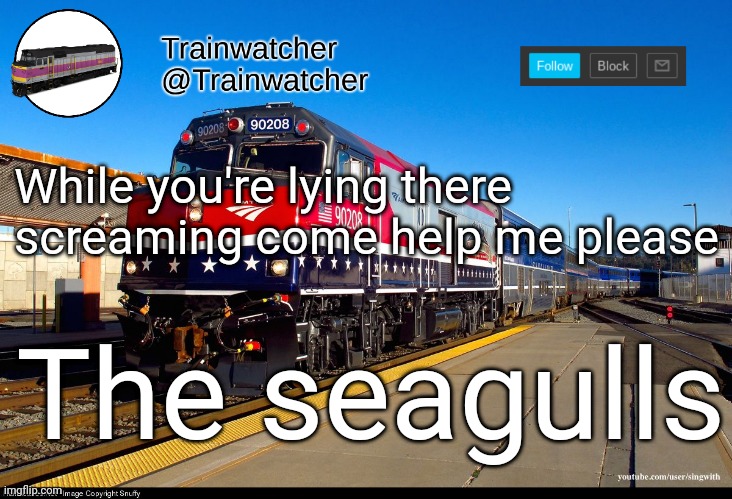 Trainwatcher Announcement 4 | While you're lying there screaming come help me please; The seagulls | image tagged in trainwatcher announcement 4 | made w/ Imgflip meme maker