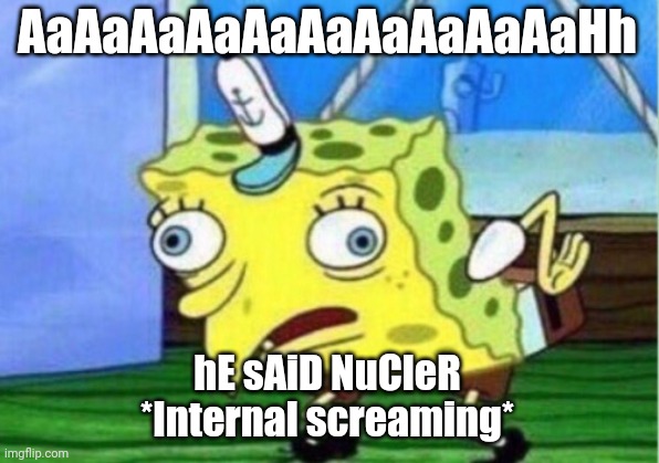 Mocking Spongebob Meme | AaAaAaAaAaAaAaAaAaAaHh hE sAiD NuCleR
*Internal screaming* | image tagged in memes,mocking spongebob | made w/ Imgflip meme maker