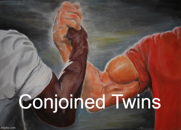 Epic Handshake | Conjoined Twins | image tagged in memes,epic handshake | made w/ Imgflip meme maker