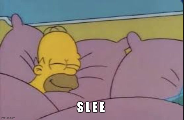 how i sleep homer simpson | S L E E | image tagged in how i sleep homer simpson | made w/ Imgflip meme maker