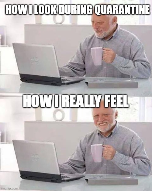 Hide the Pain Harold | HOW I LOOK DURING QUARANTINE; HOW I REALLY FEEL | image tagged in memes,hide the pain harold | made w/ Imgflip meme maker