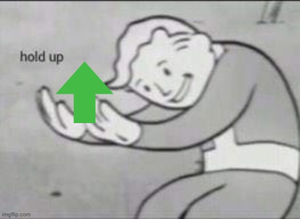 Fallout Hold Up | image tagged in fallout hold up | made w/ Imgflip meme maker