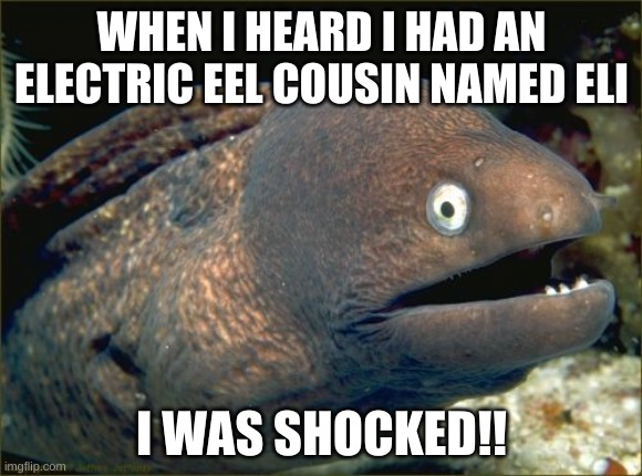 i thought of this in class | WHEN I HEARD I HAD AN ELECTRIC EEL COUSIN NAMED ELI; I WAS SHOCKED!! | image tagged in memes,bad joke eel,eels,unda da sea | made w/ Imgflip meme maker