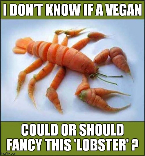 Vegan Confusion | I DON'T KNOW IF A VEGAN; COULD OR SHOULD FANCY THIS 'LOBSTER' ? | image tagged in vegan,lobster,confusion | made w/ Imgflip meme maker