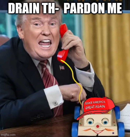 which is it? | DRAIN TH-  PARDON ME | image tagged in i'm the president | made w/ Imgflip meme maker