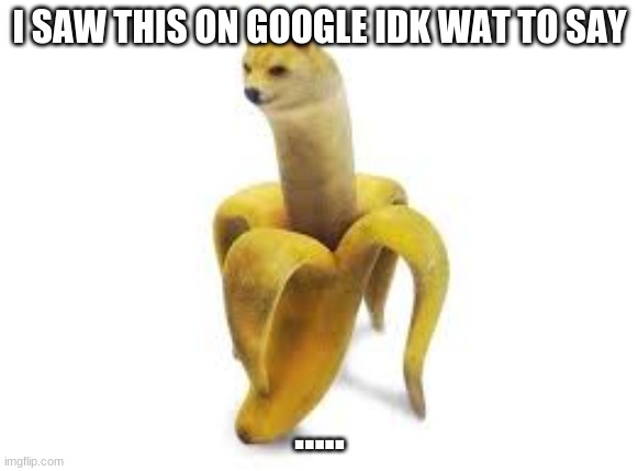 doge banna | I SAW THIS ON GOOGLE IDK WAT TO SAY; ..... | image tagged in doge banna | made w/ Imgflip meme maker