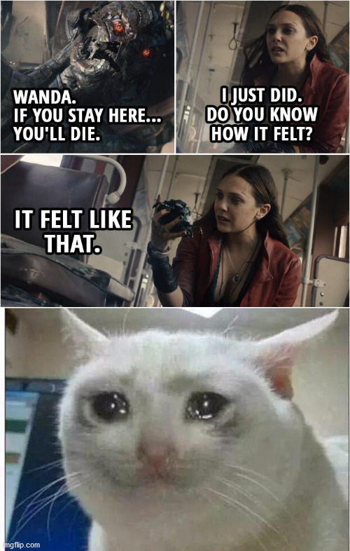 Quicksilver's death is so sad. | image tagged in crying cat,avengers age of ultron | made w/ Imgflip meme maker