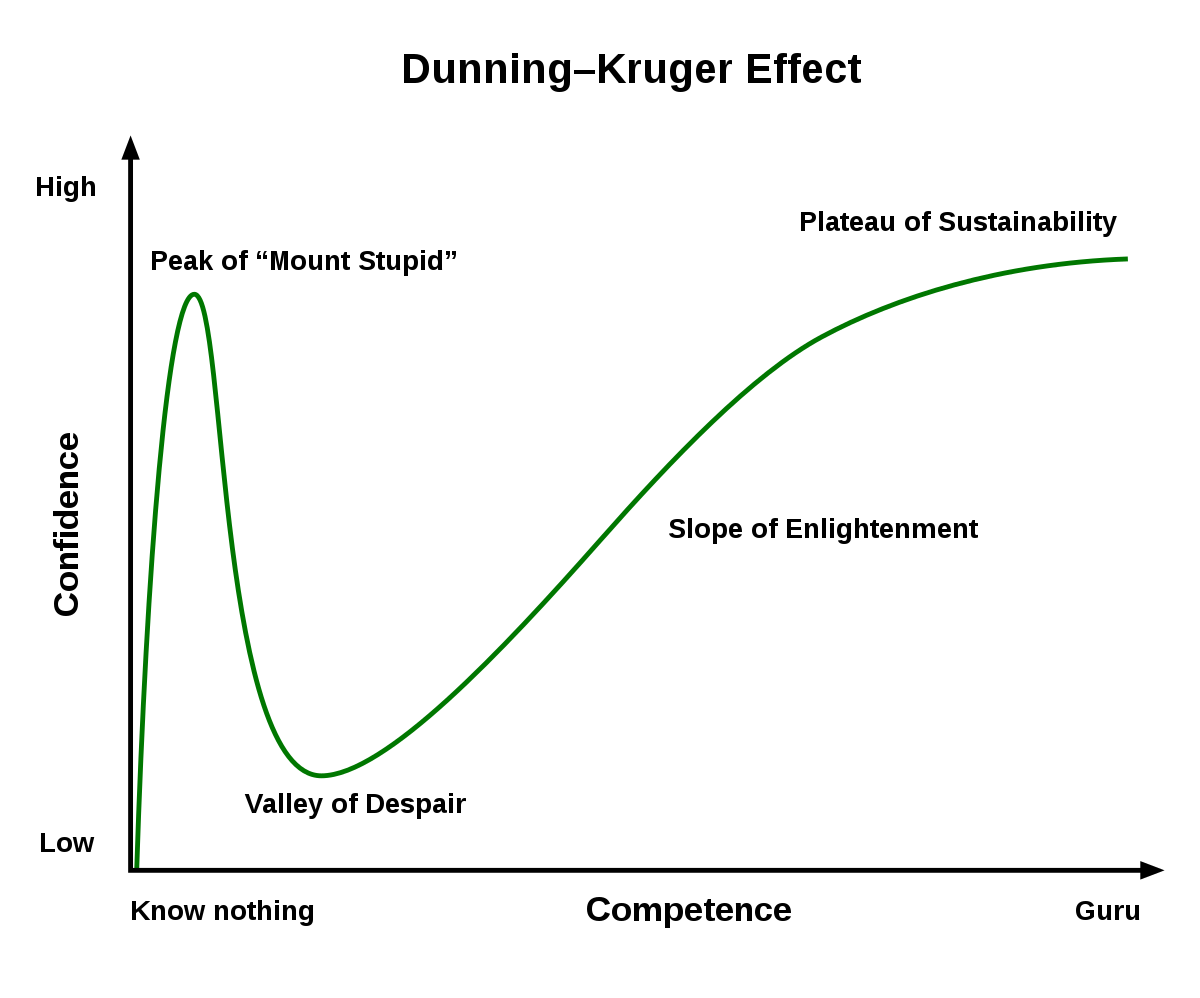 High Quality Dunning-Kruger Effect Blank Meme Template