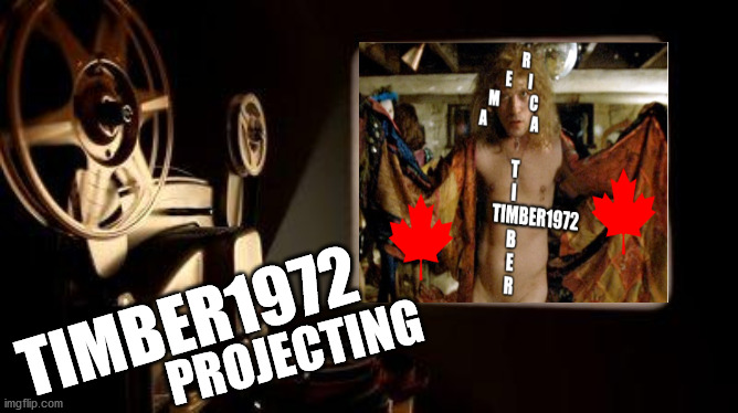 timber1972 projecting Blank Meme Template