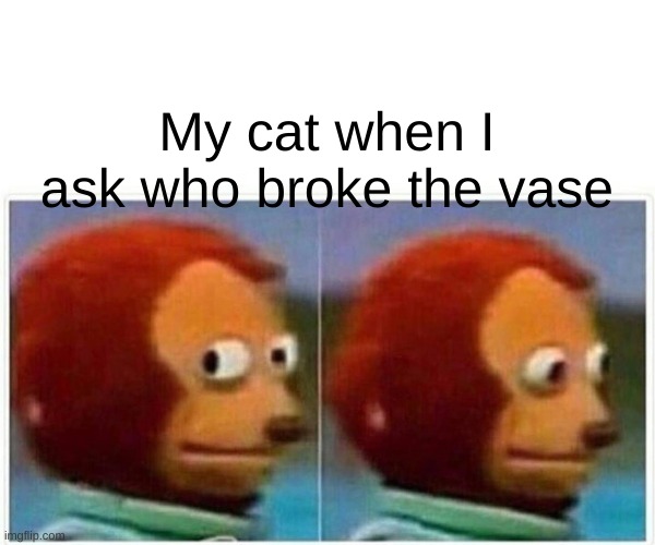 Wasn't me | My cat when I ask who broke the vase | image tagged in memes,monkey puppet | made w/ Imgflip meme maker