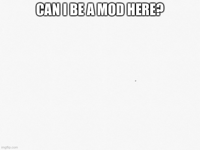 Plz? | CAN I BE A MOD HERE? | image tagged in plz | made w/ Imgflip meme maker