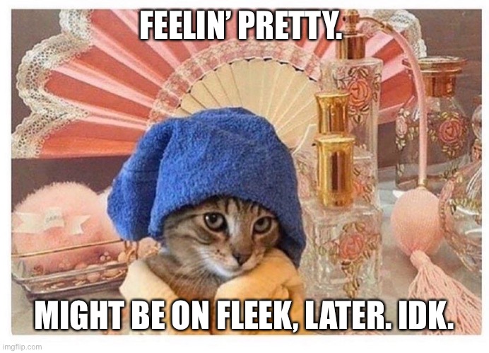 On Fleek | FEELIN’ PRETTY. MIGHT BE ON FLEEK, LATER. IDK. | image tagged in cats | made w/ Imgflip meme maker