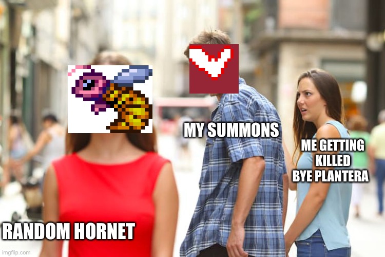 Terraia Memes | MY SUMMONS; ME GETTING KILLED BYE PLANTERA; RANDOM HORNET | image tagged in memes,distracted boyfriend | made w/ Imgflip meme maker