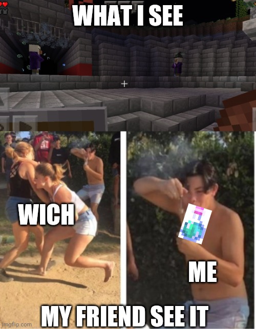 Me in minecraft pve | WHAT I SEE; WICH; ME; MY FRIEND SEE IT | image tagged in dabbing dude | made w/ Imgflip meme maker