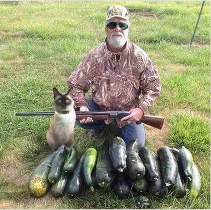 High Quality zucchini hunter Blank Meme Template