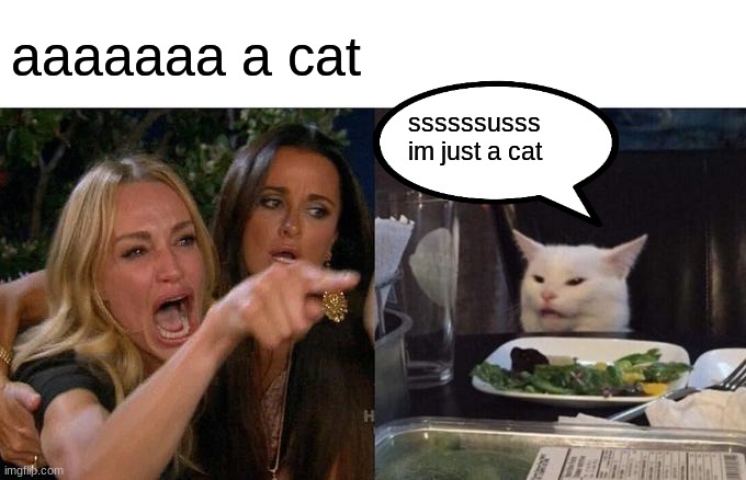 Woman Yelling At Cat Meme | aaaaaaa a cat; ssssssusss im just a cat | image tagged in memes,woman yelling at cat | made w/ Imgflip meme maker