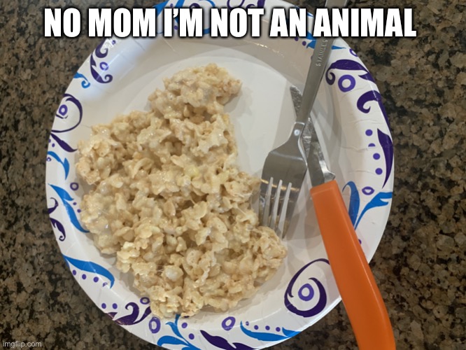 Rice Krispie treat | NO MOM I’M NOT AN ANIMAL | image tagged in rice krispie treat | made w/ Imgflip meme maker