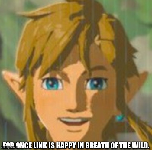 FOR ONCE LINK IS HAPPY IN BREATH OF THE WILD. | image tagged in the legend of zelda breath of the wild | made w/ Imgflip meme maker