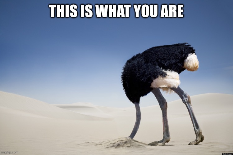Ostrich head in sand | THIS IS WHAT YOU ARE | image tagged in ostrich head in sand | made w/ Imgflip meme maker