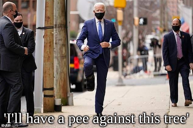 'I'll have a pee against this tree' thought Biden? | 'I'll have a pee against this tree' | image tagged in biden,us,2020,pee,tree,dog | made w/ Imgflip meme maker