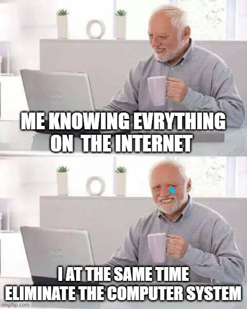 lol | ME KNOWING EVRYTHING ON  THE INTERNET; I AT THE SAME TIME ELIMINATE THE COMPUTER SYSTEM | image tagged in memes,hide the pain harold | made w/ Imgflip meme maker