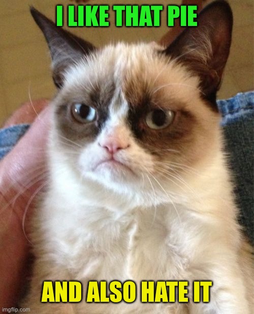 Grumpy Cat Meme | I LIKE THAT PIE AND ALSO HATE IT | image tagged in memes,grumpy cat | made w/ Imgflip meme maker
