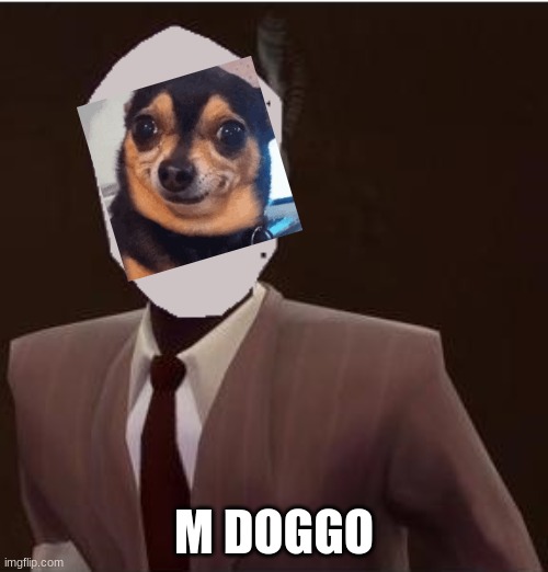 DOGGO! | M DOGGO | image tagged in custom spy mask | made w/ Imgflip meme maker