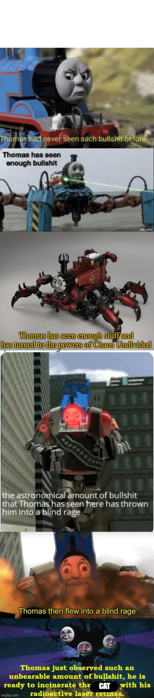 CAT | image tagged in thomas had never seen such bullshit before,thomas has seen enough bullshit,thomas has join chaos undivided | made w/ Imgflip meme maker