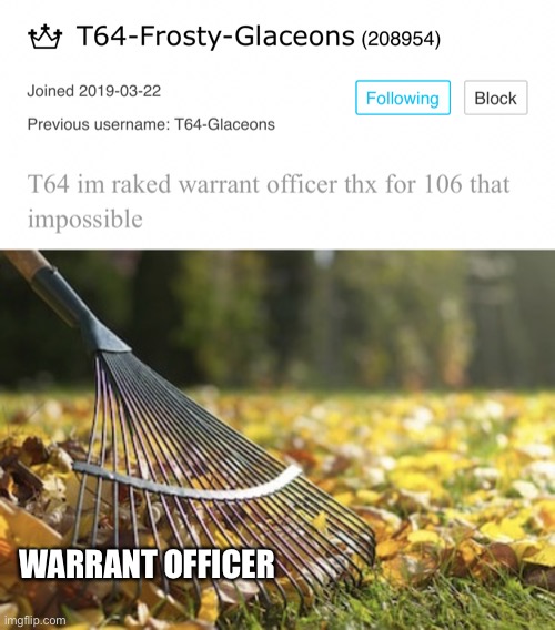 WARRANT OFFICER | image tagged in rake | made w/ Imgflip meme maker