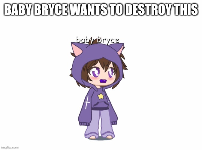 BABY BRYCE WANTS TO DESTROY THIS | image tagged in bebe bryce | made w/ Imgflip meme maker