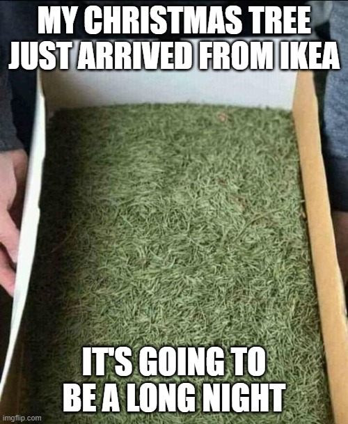 Ikea Tree | MY CHRISTMAS TREE JUST ARRIVED FROM IKEA; IT'S GOING TO BE A LONG NIGHT | image tagged in ikea tree,FreeKarma4U | made w/ Imgflip meme maker