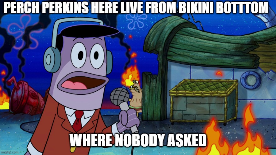 Perch Perkins | PERCH PERKINS HERE LIVE FROM BIKINI BOTTTOM; WHERE NOBODY ASKED | image tagged in who cares | made w/ Imgflip meme maker