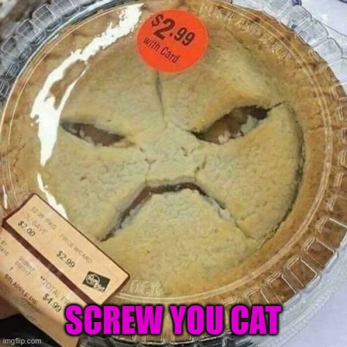 SCREW YOU CAT | made w/ Imgflip meme maker