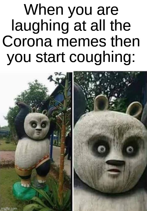 Kung fu OH NO | When you are laughing at all the Corona memes then you start coughing: | image tagged in kung fu oh no,memes | made w/ Imgflip meme maker