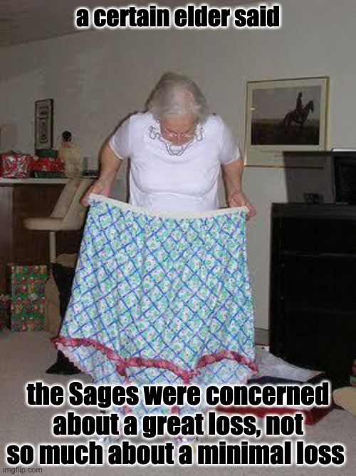 daf |  a certain elder said; the Sages were concerned about a great loss, not so much about a minimal loss | image tagged in aunt bea grow very old weight loss program | made w/ Imgflip meme maker