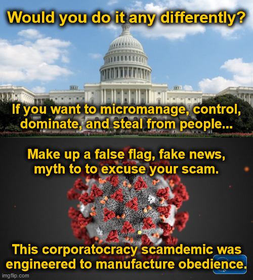 Would you do it any differently? | Would you do it any differently? If you want to micromanage, control,
dominate, and steal from people... Make up a false flag, fake news,
myth to to excuse your scam. This corporatocracy scamdemic was
engineered to manufacture obedience. | image tagged in ugh congress,covid 19,government corruption,exploitation,propaganda,scamdemic | made w/ Imgflip meme maker