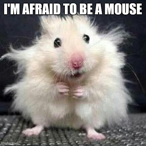 Stressed Mouse | I'M AFRAID TO BE A MOUSE | image tagged in stressed mouse | made w/ Imgflip meme maker